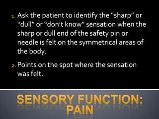 Neuromuskuloskeletal | PPSX