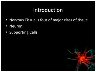 Introduction
• Nervous Tissue is four of major class of tissue.
• Neuron.
• Supporting Cells.
 