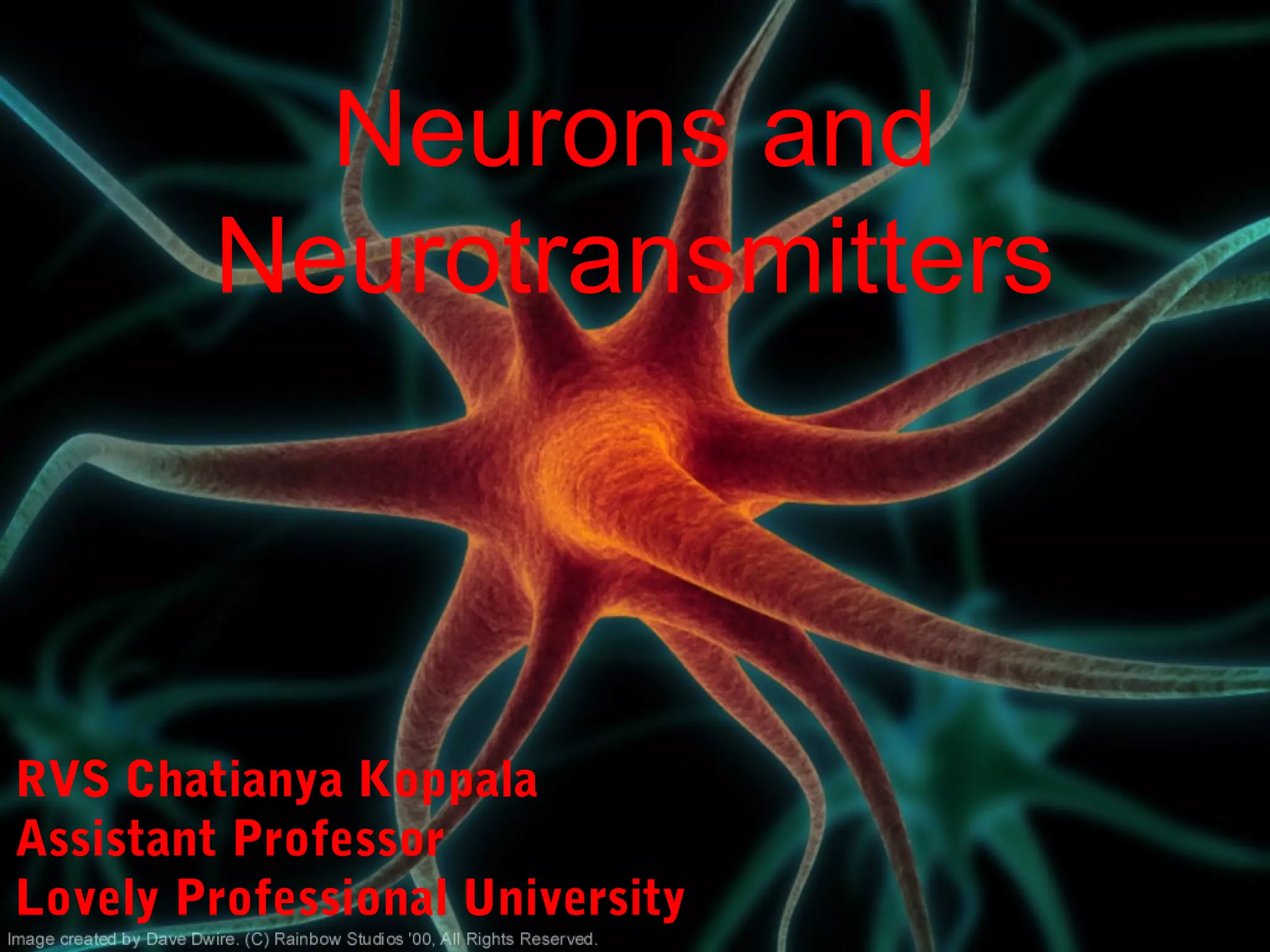 Neurons and
Neurotransmitters
RVS Chatianya Koppala
Assistant Professor
Lovely Professional University
 