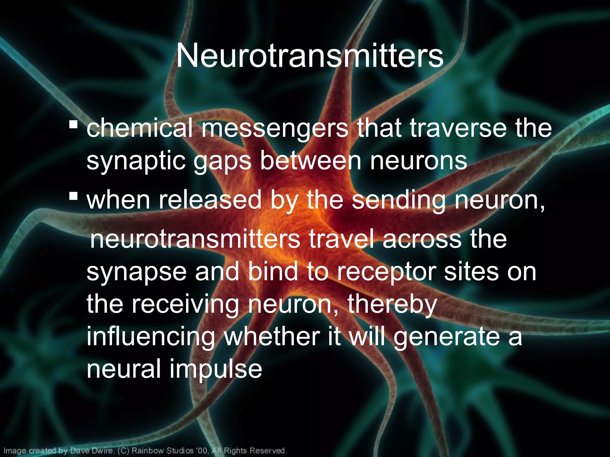 Neurotransmitters
 chemical messengers that traverse the
synaptic gaps between neurons
 when released by the sending neuron,
neurotransmitters travel across the
synapse and bind to receptor sites on
the receiving neuron, thereby
influencing whether it will generate a
neural impulse
 