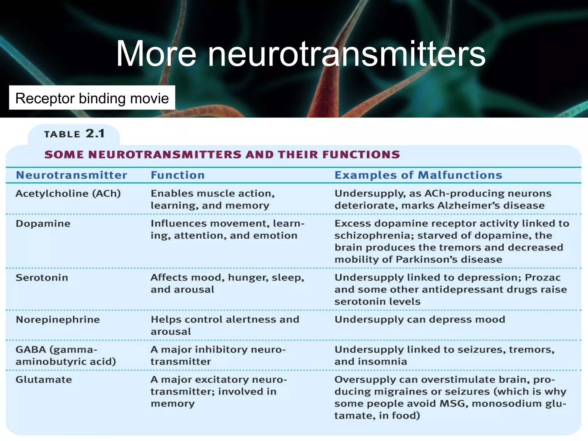 More neurotransmitters
Receptor binding movie
 