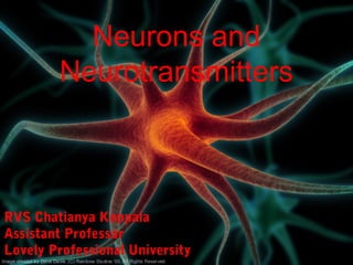 Neurons and
Neurotransmitters
RVS Chatianya Koppala
Assistant Professor
Lovely Professional University
 