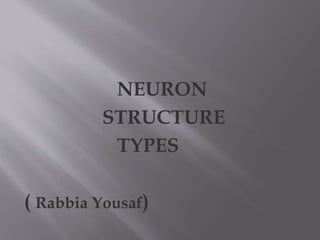 NEURON
STRUCTURE
TYPES
( Rabbia Yousaf)
 