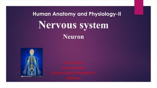 Human Anatomy and Physiology-II
Nervous system
Neuron
Mr N.JEGAN
Associate Professor
K.M.COLLEGE OF PHARMACY.
MADURAI.
 