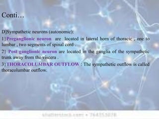 Conti…
D]Sympathetic neurons (autonomic):
1}Preganglionic neuron are located in lateral horn of thoracic , one to
lumbar , two segments of spinal cord .
2} Post ganglionic neuron are located in the ganglia of the sympathetic
trunk away from the viscera .
3}THORACOLUMBAR OUTFLOW : The sympathetic outflow is called
thoracolumbar outflow.
 