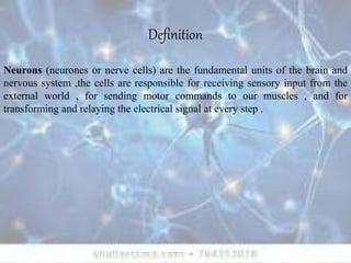 Definition
Neurons (neurones or nerve cells) are the fundamental units of the brain and
nervous system ,the cells are responsible for receiving sensory input from the
external world , for sending motor commands to our muscles , and for
transforming and relaying the electrical signal at every step .
 
