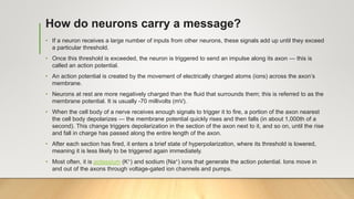 How do neurons carry a message?
• If a neuron receives a large number of inputs from other neurons, these signals add up until they exceed
a particular threshold.
• Once this threshold is exceeded, the neuron is triggered to send an impulse along its axon — this is
called an action potential.
• An action potential is created by the movement of electrically charged atoms (ions) across the axon’s
membrane.
• Neurons at rest are more negatively charged than the fluid that surrounds them; this is referred to as the
membrane potential. It is usually -70 millivolts (mV).
• When the cell body of a nerve receives enough signals to trigger it to fire, a portion of the axon nearest
the cell body depolarizes — the membrane potential quickly rises and then falls (in about 1,000th of a
second). This change triggers depolarization in the section of the axon next to it, and so on, until the rise
and fall in charge has passed along the entire length of the axon.
• After each section has fired, it enters a brief state of hyperpolarization, where its threshold is lowered,
meaning it is less likely to be triggered again immediately.
• Most often, it is potassium (K+) and sodium (Na+) ions that generate the action potential. Ions move in
and out of the axons through voltage-gated ion channels and pumps.
 