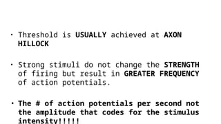 • Threshold is USUALLY achieved at AXON
HILLOCK
• Strong stimuli do not change the STRENGTH
of firing but result in GREATER FREQUENCY
of action potentials.
• The # of action potentials per second not
the amplitude that codes for the stimulus
intensity!!!!!
 