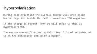 hyperpolarization
During repolarization the overall charge will once again
become negative inside the cell...sometimes TOO negative.
If the charge is beyond -70mV we will refer to this as
hyperpolarized.
The neuron cannot fire during this time. It’s often referred
to as the refractory period of a neuron.
 