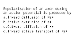 Repolarization of an axon during
an action potential is produced by
a.Inward diffusion of Na+
b.Active extrusion of K+
c.Outward diffusion of K+
d.Inward active transport of Na+
 