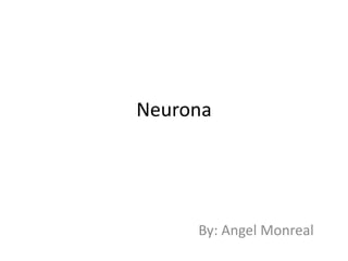 Neurona




     By: Angel Monreal
 