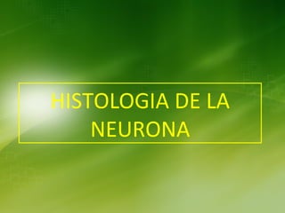 HISTOLOGIA DE LA
    NEURONA
 