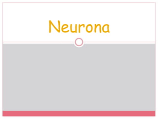 Neurona
 
