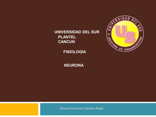 UNIVERSIDAD DEL SUR
 PLANTEL
 CANCUN

    FISIOLOGIA


    NEURONA




  Ximena Arminda Colorado Rojas
 