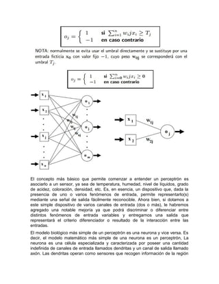 El concepto más básico que permite comenzar a entender un perceptrón es
asociarlo a un sensor, ya sea de temperatura, humedad, nivel de líquidos, grado
de acidez, coloración, densidad, etc. Es, en esencia, un dispositivo que, dada la
presencia de uno o varios fenómenos de entrada, permite representarlo(s)
mediante una señal de salida fácilmente reconocible. Ahora bien, si dotamos a
este simple dispositivo de varios canales de entrada (dos o más), le habremos
agregado una notable mejoría ya que podrá discriminar o diferenciar entre
distintos fenómenos de entrada variables y entregarnos una salida que
representará el criterio diferenciador o resultado de la interacción entre las
entradas.
El modelo biológico más simple de un perceptrón es una neurona y vice versa. Es
decir, el modelo matemático más simple de una neurona es un perceptrón, La
neurona es una célula especializada y caracterizada por poseer una cantidad
indefinida de canales de entrada llamados dendritas y un canal de salida llamado
axón. Las dendritas operan como sensores que recogen información de la región
 