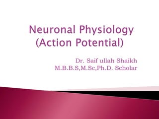Dr. Saif ullah Shaikh
M.B.B.S,M.Sc,Ph.D. Scholar
 