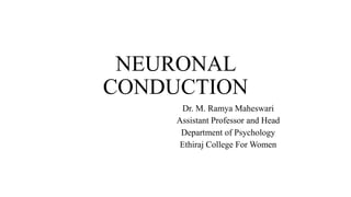NEURONAL
CONDUCTION
Dr. M. Ramya Maheswari
Assistant Professor and Head
Department of Psychology
Ethiraj College For Women
 