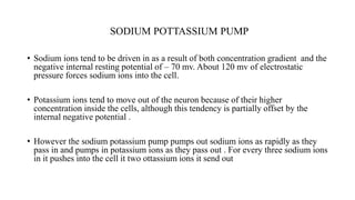 SODIUM POTTASSIUM PUMP
• Sodium ions tend to be driven in as a result of both concentration gradient and the
negative internal resting potential of – 70 mv. About 120 mv of electrostatic
pressure forces sodium ions into the cell.
• Potassium ions tend to move out of the neuron because of their higher
concentration inside the cells, although this tendency is partially offset by the
internal negative potential .
• However the sodium potassium pump pumps out sodium ions as rapidly as they
pass in and pumps in potassium ions as they pass out . For every three sodium ions
in it pushes into the cell it two ottassium ions it send out
 