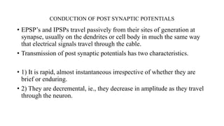 CONDUCTION OF POST SYNAPTIC POTENTIALS
• EPSP’s and IPSPs travel passively from their sites of generation at
synapse, usually on the dendrites or cell body in much the same way
that electrical signals travel through the cable.
• Transmission of post synaptic potentials has two characteristics.
• 1) It is rapid, almost instantaneous irrespective of whether they are
brief or enduring.
• 2) They are decremental, ie., they decrease in amplitude as they travel
through the neuron.
 