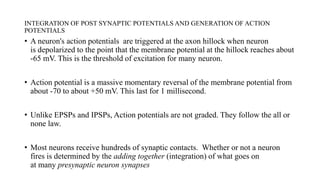 INTEGRATION OF POST SYNAPTIC POTENTIALS AND GENERATION OF ACTION
POTENTIALS
• A neuron's action potentials are triggered at the axon hillock when neuron
is depolarized to the point that the membrane potential at the hillock reaches about
-65 mV. This is the threshold of excitation for many neuron.
• Action potential is a massive momentary reversal of the membrane potential from
about -70 to about +50 mV. This last for 1 millisecond.
• Unlike EPSPs and IPSPs, Action potentials are not graded. They follow the all or
none law.
• Most neurons receive hundreds of synaptic contacts. Whether or not a neuron
fires is determined by the adding together (integration) of what goes on
at many presynaptic neuron synapses
 