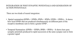 INTEGRATION OF POST SYNAPTIC POTENTIALS AND GENERATION OF
ACTION POTENTIALS
There are two kinds of neural integration:
• Spatial summation (EPSPs + EPSPs; IPSPs + IPSPs; EPSPs + IPSPs) - It shows
how local EPSPs that are produced simultaneously on different parts of the
receptive membrane sum to form a greater EPSP .
• Temporal Summation: (EPSPs + EPSPs; IPSPs + IPSPs) – It shows how post
synaptic potentials produced in rapid succession at the same synapse sum to form
a greater signal
 