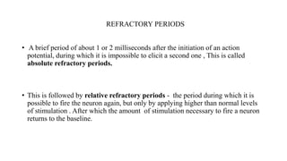 REFRACTORY PERIODS
• A brief period of about 1 or 2 milliseconds after the initiation of an action
potential, during which it is impossible to elicit a second one , This is called
absolute refractory periods.
• This is followed by relative refractory periods - the period during which it is
possible to fire the neuron again, but only by applying higher than normal levels
of stimulation . After which the amount of stimulation necessary to fire a neuron
returns to the baseline.
 