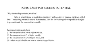 IONIC BASIS FOR RESTING POTENTIAL
Why are resting neurons polarised?
Salts in neural tissue separate into positively and negatively charged particles called
ions. The resting potential results from the fact that the ratio of negative to positive charges
is greater inside the neuron than outside.
Resting potential results from
(1) the concentration of Na+ is higher outside,
(2) the concentration of Cl is higher outside,
(3) the concentration of K+ is higher inside, and
(4) various negatively charged protein ions are trapped inside
 