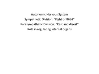 Autonomic Nervous System
Sympathetic Division: "Fight or flight"
Parasympathetic Division: "Rest and digest"
Role in regulating internal organs
 