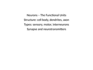 Neurons – The Functional Units
Structure: cell body, dendrites, axon
Types: sensory, motor, interneurons
Synapse and neurotransmitters
 