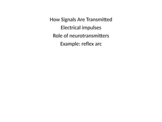 How Signals Are Transmitted
Electrical impulses
Role of neurotransmitters
Example: reflex arc
 