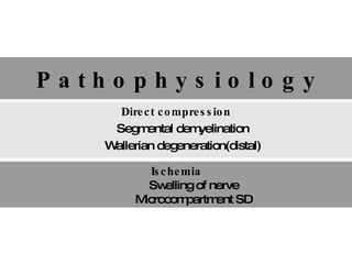 P a t h o p h y s i o l o g y Direct compression Segmental demyelination Wallerian degeneration(distal) Ischemia Swelling of nerve Microcompartment SD 