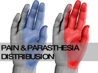 PAIN & PARASTHESIA DISTRIBUSION 