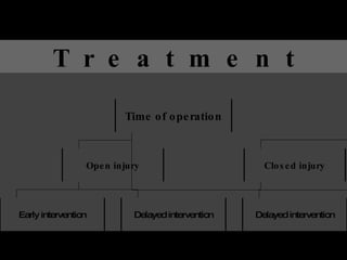 T  r  e  a  t  m  e  n  t Time of operation Open injury Closed injury Early intervention Delayed intervention Delayed intervention 