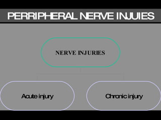 PERRIPHERAL NERVE INJUIES NERVE INJURIES Acute injury Chronic injury 