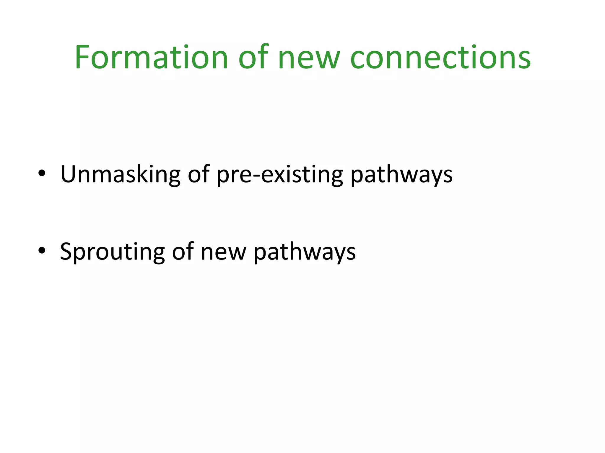 Formation of new connectionsUnmasking of pre-existing pathwaysSprouting of new pathways