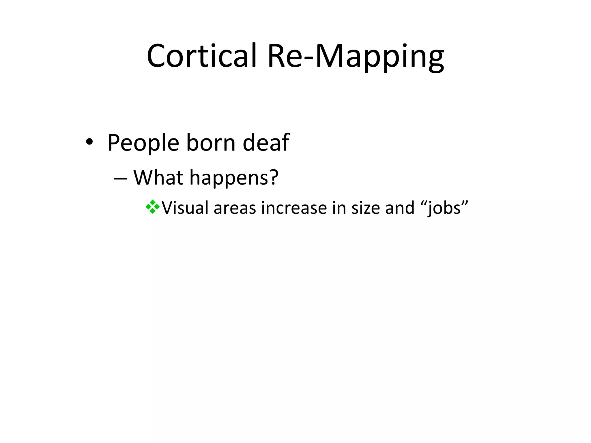 Cortical Re-MappingPeople born deafWhat happens?Visual areas increase in size and “jobs”Cortical Re-MappingPeople born deafWhat happens?Visual areas increase in size and “jobs”