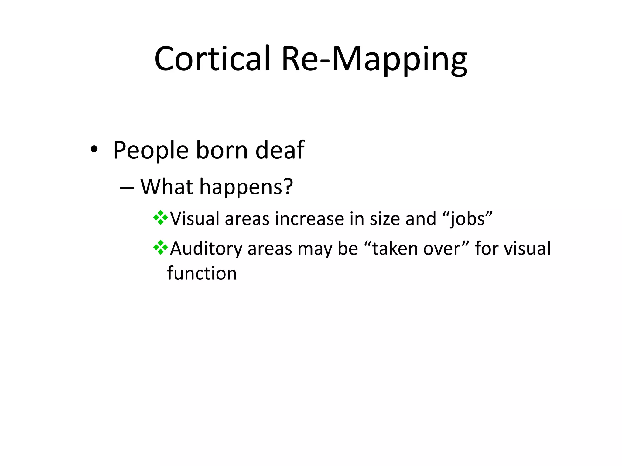 Auditory areas may be “taken over” for visual function Cortical Re-MappingPeople born deafWhat happens?Visual areas increase in size and “jobs”