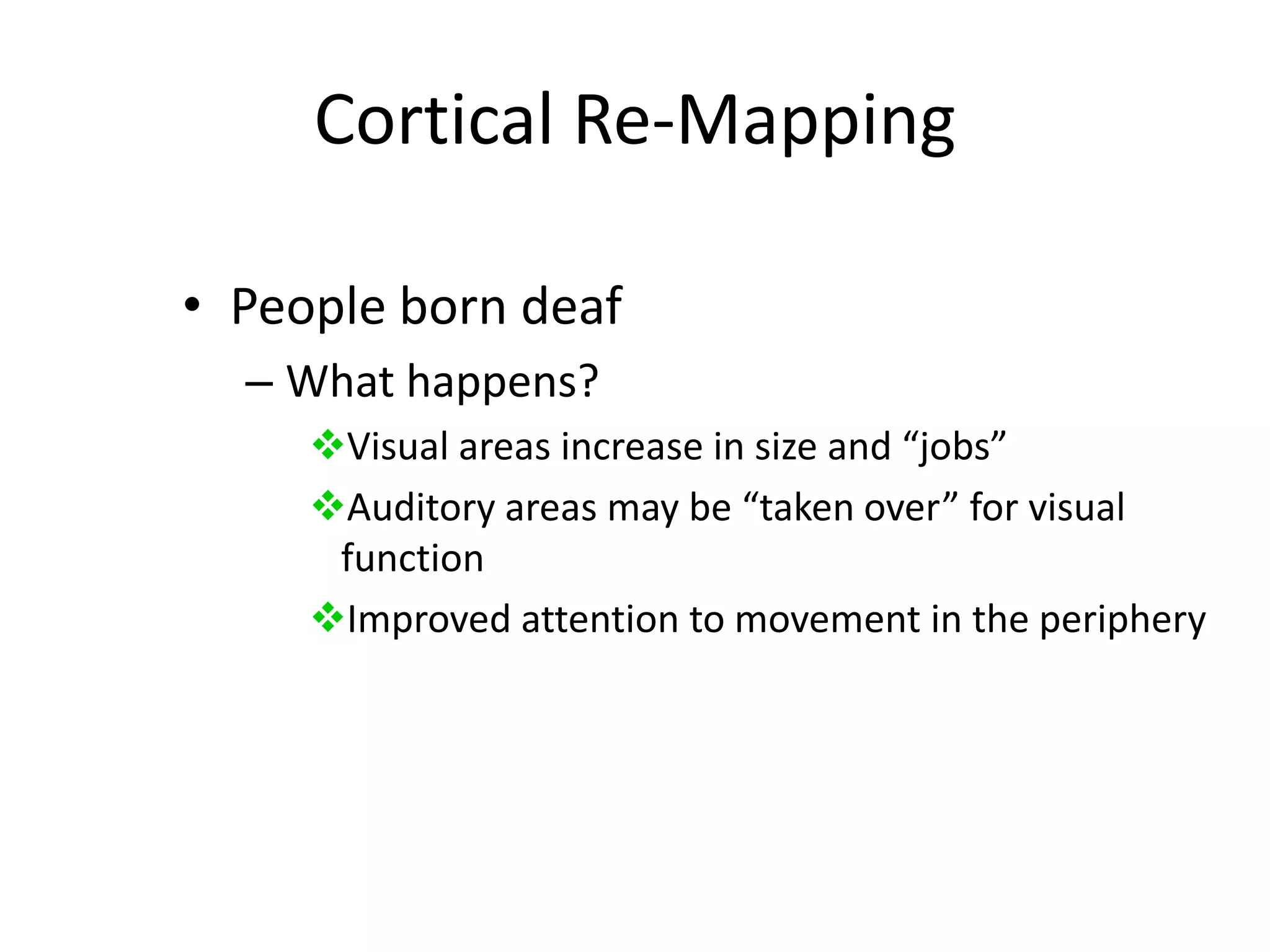 Auditory areas may be “taken over” for visual function 