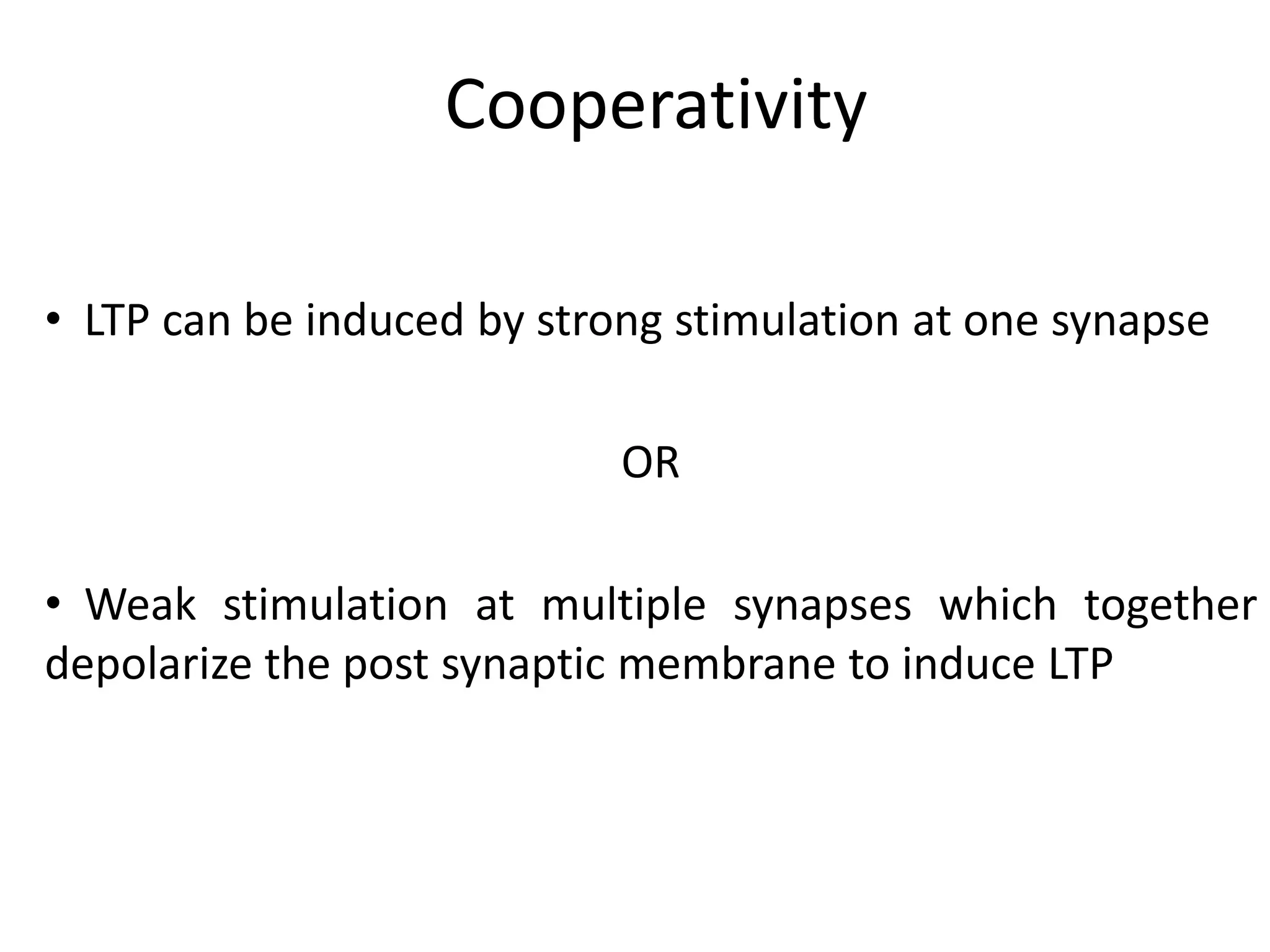 Hippocampus  Function:  •  Consolidation of New Memories  •  Emotions•  Navigation•  Spatial Orientation  