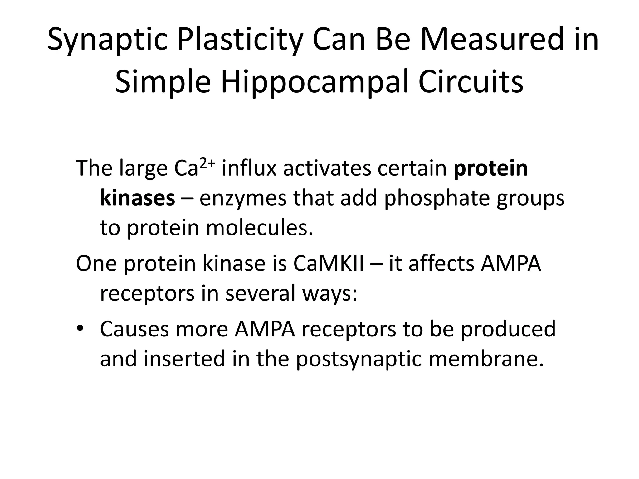   Synaptic Plasticity Can Be Measured in Simple Hippocampal CircuitsStrong stimulation of a postsynaptic cell releases a retrograde messenger that travels across the synapse and alters function in the presynaptic neuron. More glutamate is released and the synapse is strengthened.