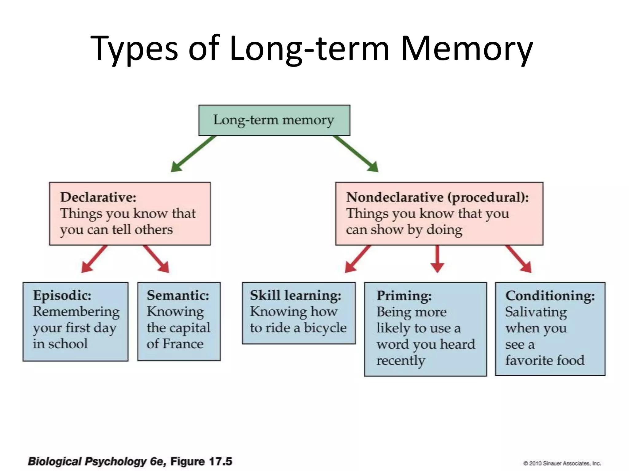Types of Long-term Memory