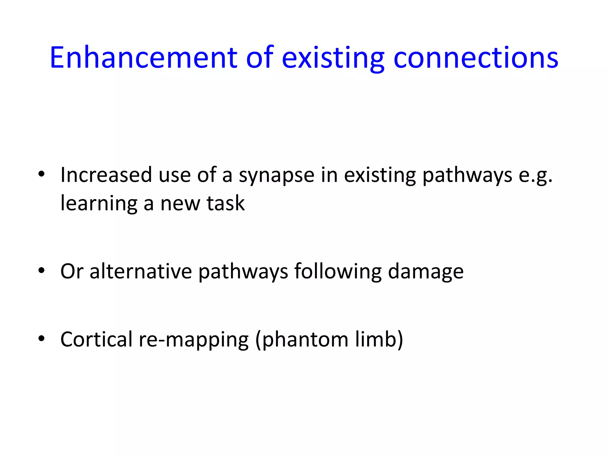 Enhancement of existing connectionsIncreased use of a synapse in existing pathways e.g. learning a new task Or alternative pathways following damageCortical re-mapping (phantom limb)