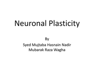 Neuronal Plasticity By SyedMujtabaHasnain Nadir Mubarak RazaWagha 