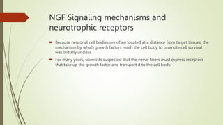 NGF Signaling mechanisms and
neurotrophic receptors
 Because neuronal cell bodies are often located at a distance from target tissues, the
mechanism by which growth factors reach the cell body to promote cell survival
was initially unclear.
 For many years, scientists suspected that the nerve fibers must express receptors
that take up the growth factor and transport it to the cell body.
 