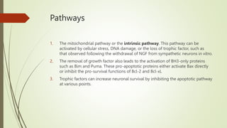 Pathways
1. The mitochondrial pathway or the intrinsic pathway. This pathway can be
activated by cellular stress, DNA damage, or the loss of trophic factor, such as
that observed following the withdrawal of NGF from sympathetic neurons in vitro.
2. The removal of growth factor also leads to the activation of BH3-only proteins
such as Bim and Puma. These pro-apoptotic proteins either activate Bax directly
or inhibit the pro-survival functions of Bcl-2 and Bcl-xL
3. Trophic factors can increase neuronal survival by inhibiting the apoptotic pathway
at various points.
 
