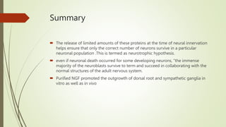 Summary
 The release of limited amounts of these proteins at the time of neural innervation
helps ensure that only the correct number of neurons survive in a particular
neuronal population .This is termed as neurotrophic hypothesis.
 even if neuronal death occurred for some developing neurons, “the immense
majority of the neuroblasts survive to term and succeed in collaborating with the
normal structures of the adult nervous system.
 Purified NGF promoted the outgrowth of dorsal root and sympathetic ganglia in
vitro as well as in vivo
 