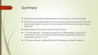 Summary
 The entire family of NGF-related proteins is now known as the neurotrophins.
 NGF produced at sites distant from the cell body could be carried back to the cell
body via retrograde transport to influence signal transduction pathways and gene
expression
 Major pathway for programmed cell death includes:-
 1. Intrinsic pathway: activated by cellular stress, DNA damage, or the loss of
trophic factor, such as that observed following the withdrawal of NGF from
sympathetic neurons in vitro
 2. Extrinsic pathway: mediated through TNF Receptors or death receptors.
 