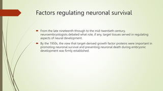 Factors regulating neuronal survival
 From the late nineteenth through to the mid-twentieth century,
neuroembryologists debated what role, if any, target tissues served in regulating
aspects of neural development.
 By the 1950s, the view that target-derived growth factor proteins were important in
promoting neuronal survival and preventing neuronal death during embryonic
development was firmly established.
 