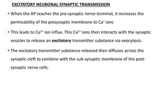 EXCITATORY NEURONAL SYNAPTIC TRANSMISSION
• When the AP reaches the pre-synaptic nerve terminal, it increases the
permeabi...