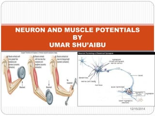 NEURON AND MUSCLE POTENTIALS 
BY 
UMAR SHU’AIBU 
12/15/2014 
 